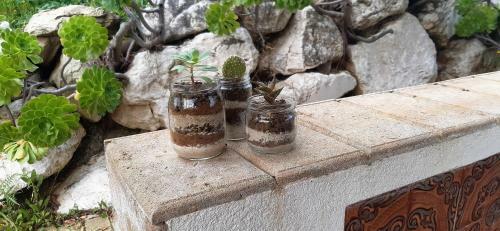 La Casa Di Flavio