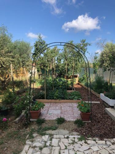 Bed & Breakfast Casa Di Calma