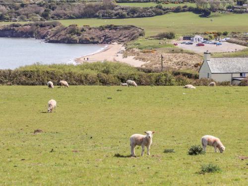 Bryn Hyfryd Caravan