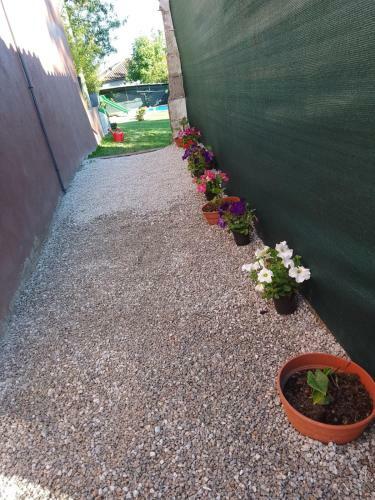 Apartamento Almademenc�a