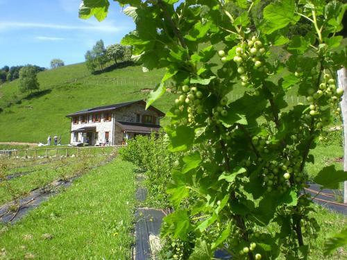 Agroturismo Agriturismo Le Radici