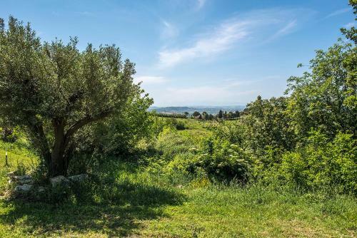 Apartamento A12 - Massignano, Deliziosa Camera Immersa Nel Verde