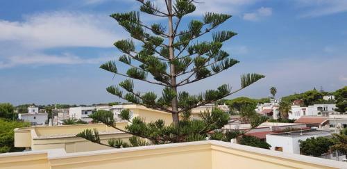 Apartamento Montedarena Gold