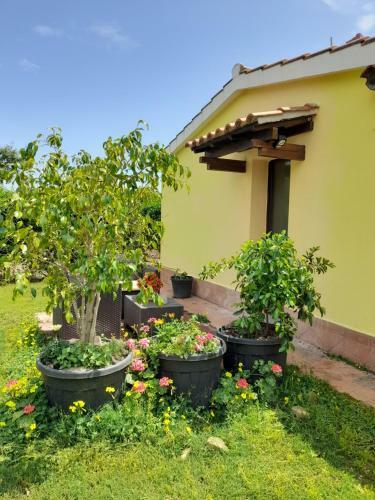 Hostal La Restanza