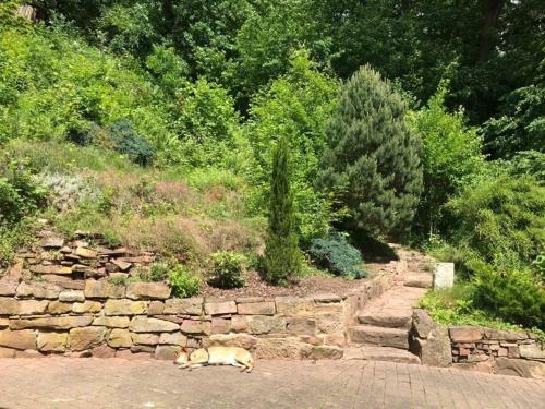 H�uschen Am Wald Mit Whirlpool Und Kamin