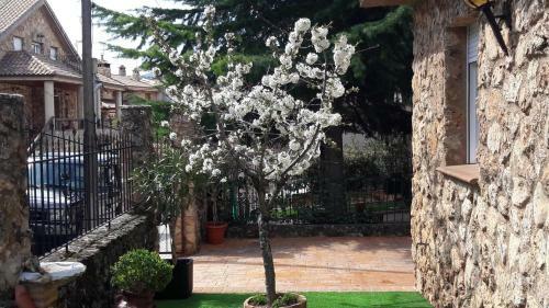 La Casita De Ri�par
