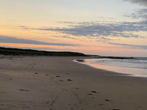 Alaina's Holiday Cottage