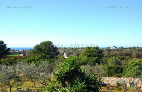 Apartamento Masseria La Macchia