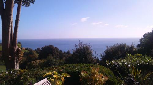Apartamentos Bowden House Self Catering Holiday Aparments