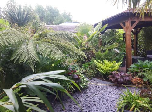Jungle Cabin In Sutton Coldfield