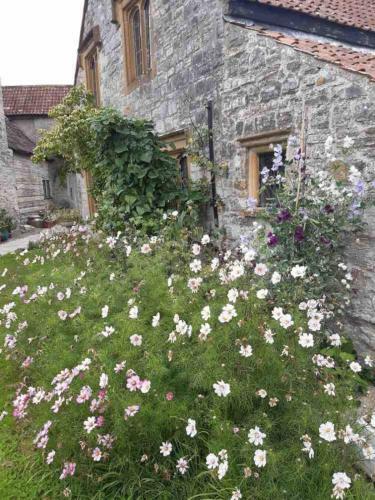 Agroturismo The Manor House, Curry Mallet