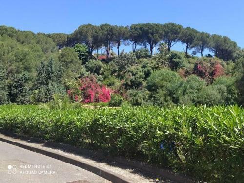 Apartamento Bilocale Con Vista Sullo Stretto