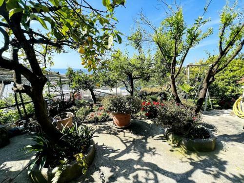 Apartamento Suite Michelotti????? Garden, Bbq, Wi-fi E Parking