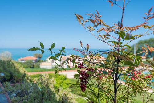 Apartamento Sogno D'amare
