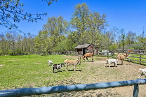 Working Farmhouse Nestled In Hudson Valley!