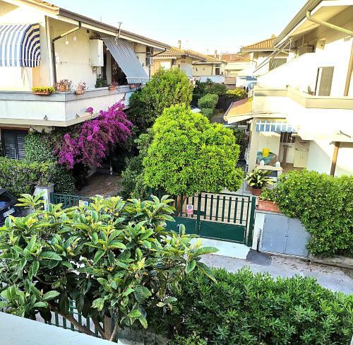 Apartamento Tra Puccini Ed Il Mare