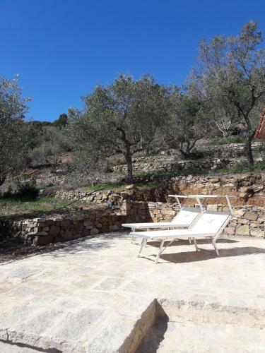 Apartamento Agriturismo Galenzana