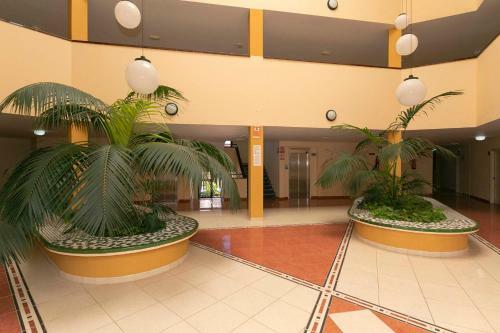 Apartamento Tenerife Mejor Clima, Sitio Privilegiado