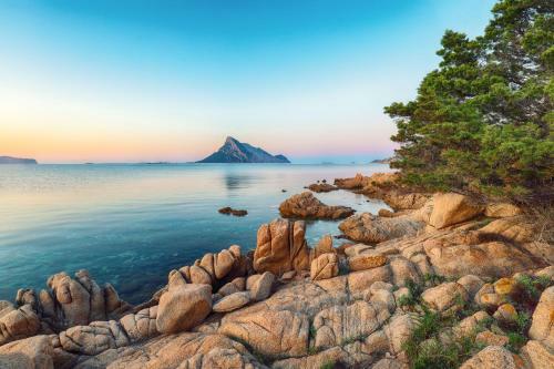 Apartamento Bilo Danilo Few Minutes From Sea