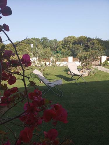 Villa Delle Rose
