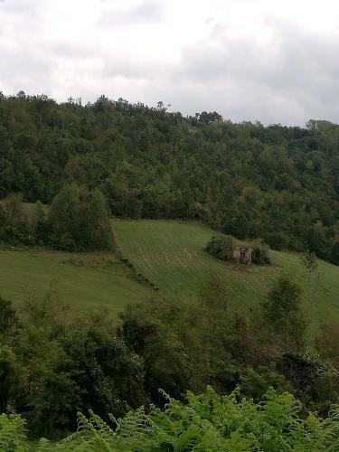 Apartamento Il Nido Nelle Langhe