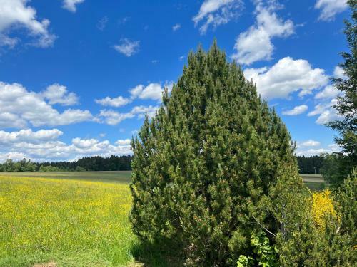 Ferienhaus Starenweg 8