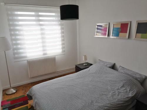 Apartamento T2 Meubl� Hypercentre Le Mans