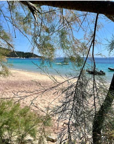 Apartamento Le Lavandou-rez de Jardin Bord de Mer