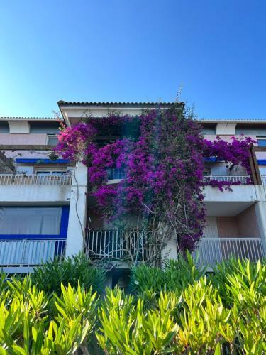 Apartamento Le Lavandou-rez de Jardin Bord de Mer