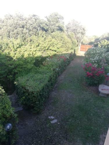Ampia Villa Tranquilla Con Posto Barca Privato