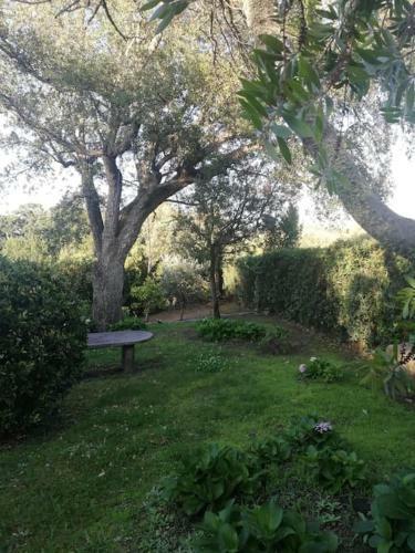 Ampia Villa Tranquilla Con Posto Barca Privato