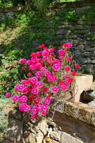 Apartamento La Casa Delle Rose