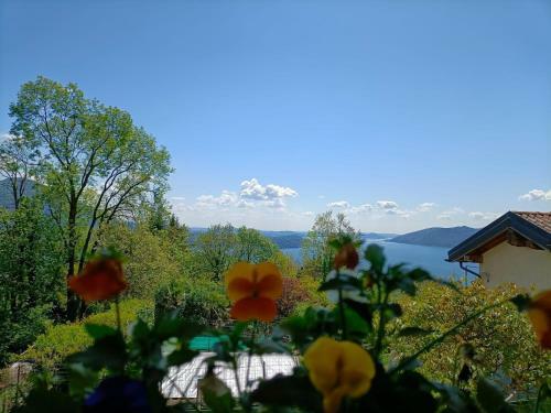 Apartamento Ul Ciabot - Rustico E Confortevole Sulla Collina Di Verbania