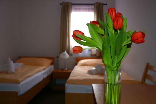 Hostal Penzion Svat� J�n