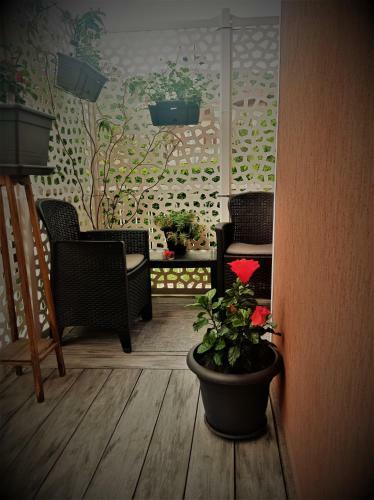 Hostal B&B Maharaja Adults Only