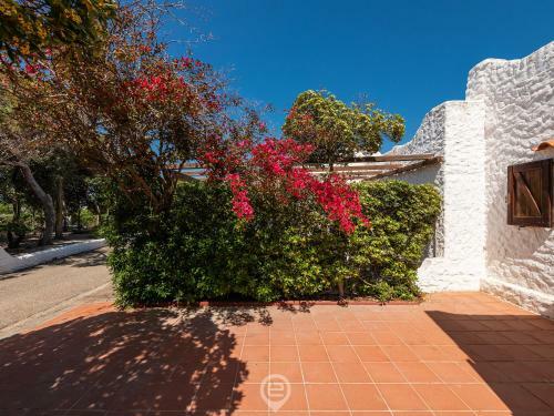 House Eleonora - Villaggio Polifemo