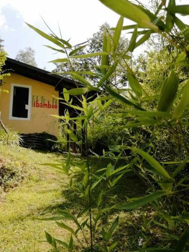 Albergue Ostello I Bamboo