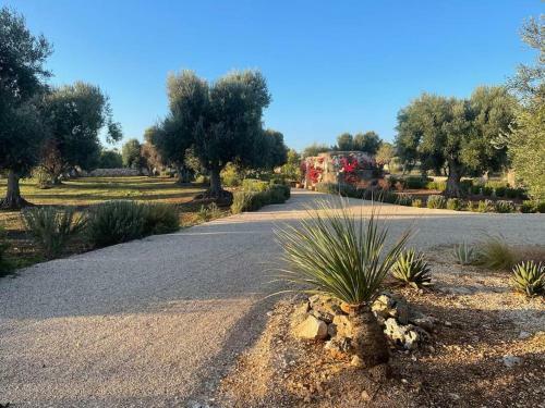 Villa Boomerang