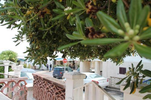 Damy Sea House