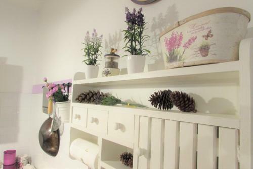 Apartamento Purple House - Arboriamar Platamona