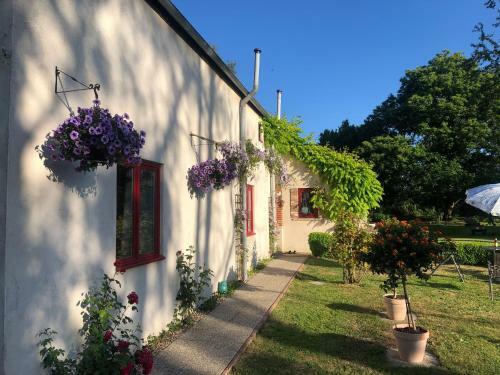 Bed & Breakfast Champ Du Bois