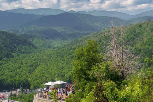 Smoky Mountain High Home