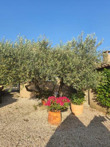Villa L'estagniol