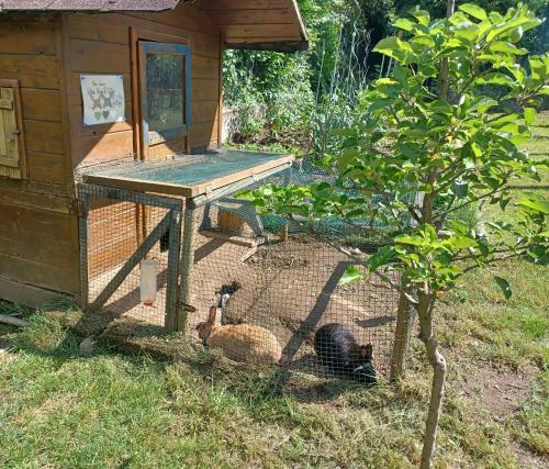 Agroturismo Das Landhaus