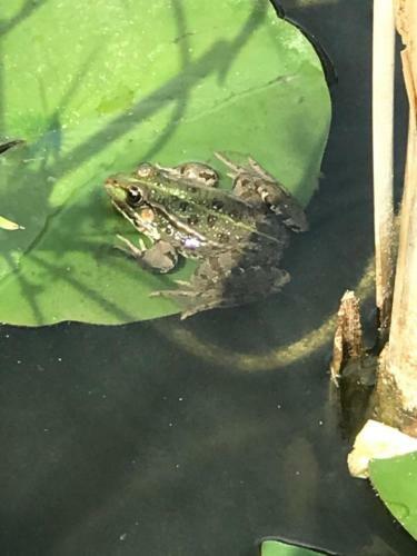 Apartamento Charming G�te In Boutique Style