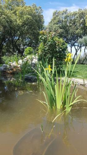 G�te de Charme Avec Spa, D�tente Et Nature Pour 2