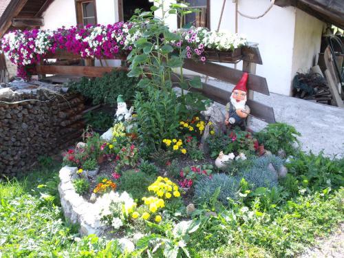 Agroturismo Schartnerhof