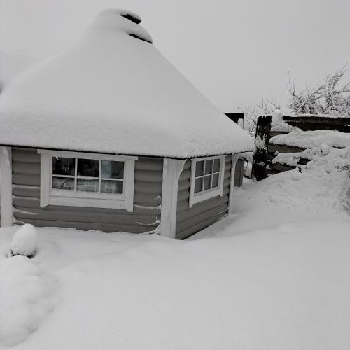 Cabane Des Lutins - Belle Fleur
