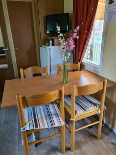 Location Mobil Home Camping 4 �toiles