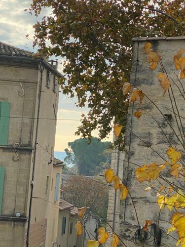 Apartamento Studio Cosy Centre Uz�s